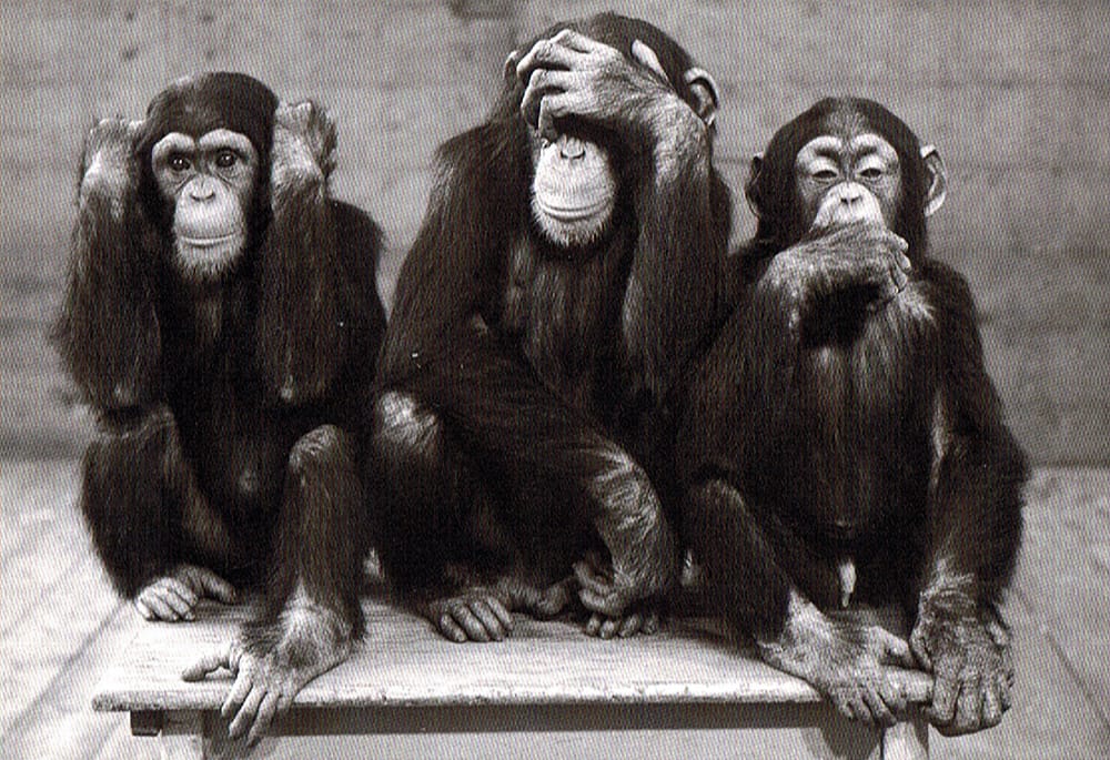 Selon l’université d’York, même les trois petits singes sont l’expression d’un racisme