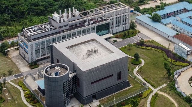 Origines Covid : suspension des subventions du Pentagone à l’Institut de virologie de Wuhan