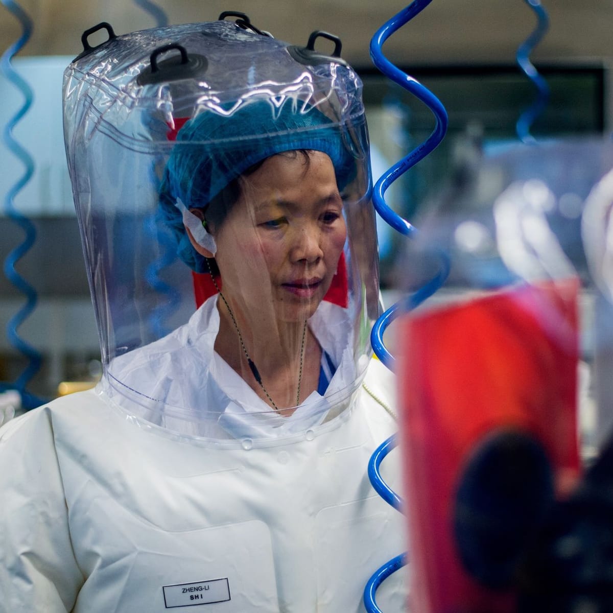 Virus chinois, argent américain, complicité française: les troubles origines du COVID-19