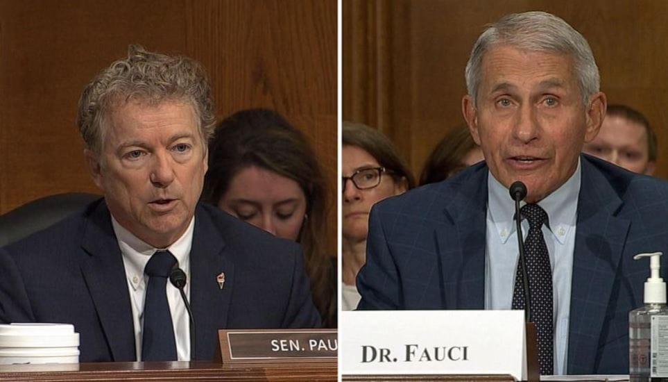 Le sénateur Rand Paul accuse Fauci d’avoir menti face au Congrès