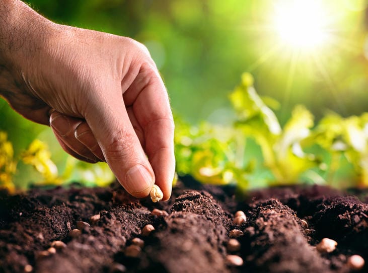 Contre la crise agricole, les circuits courts du Jura – par Yves-Marie Adeline
