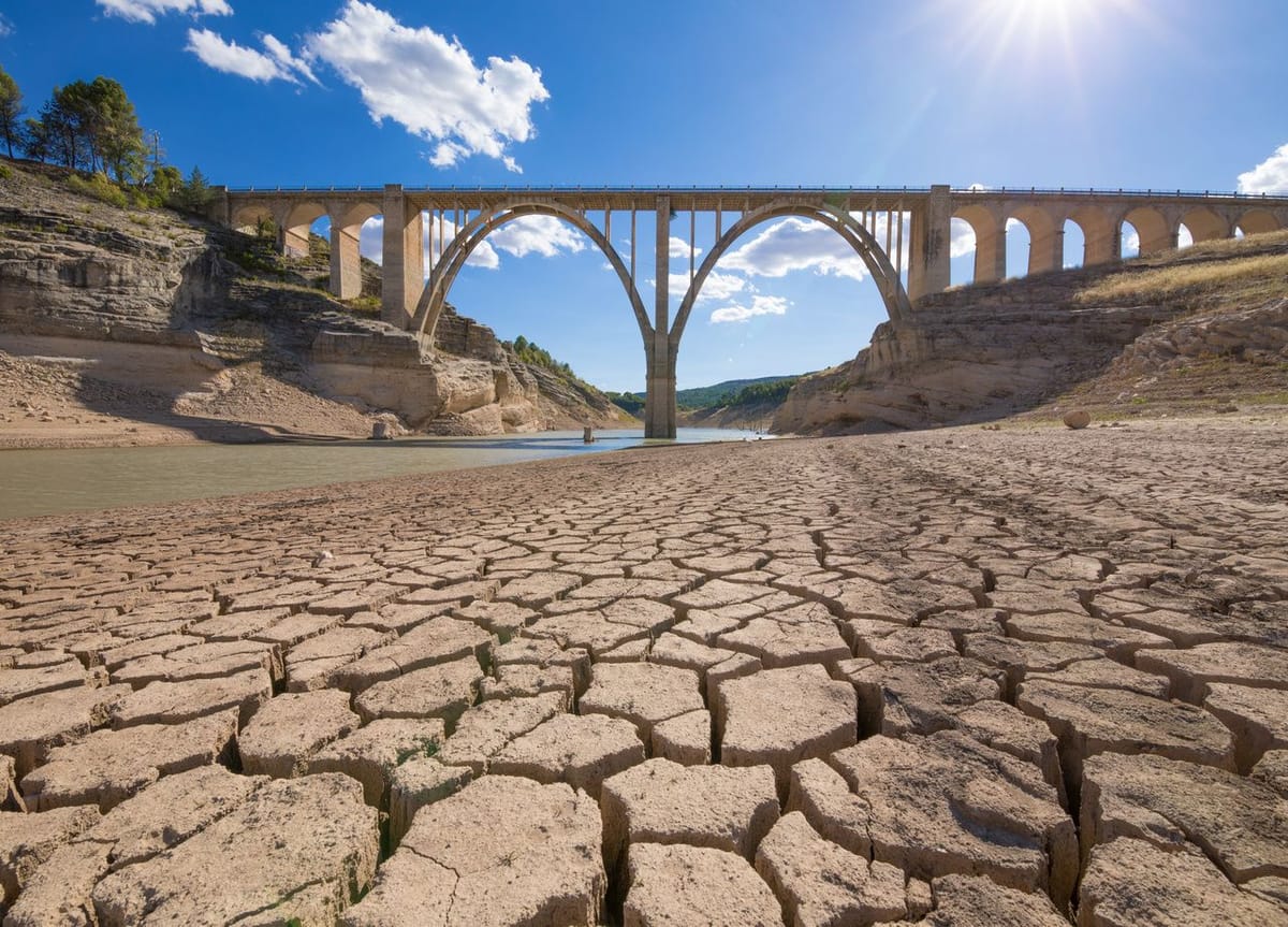 Numéro vert Canicule : à quand le Numéro brun Diarrhée, Elisabeth ? par Modeste Schwartz