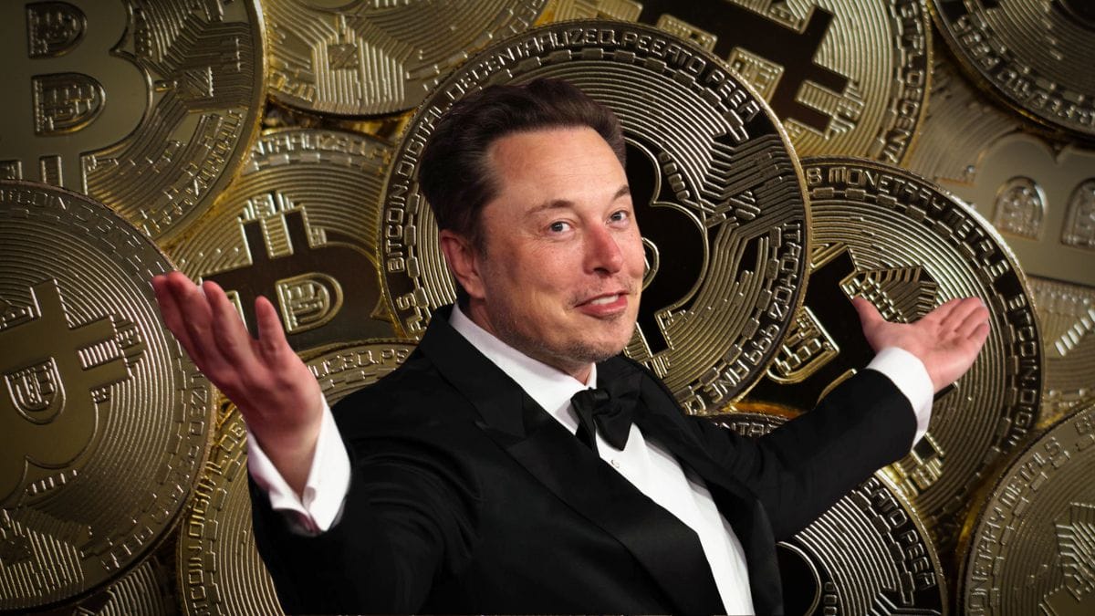 Le secret du succès d’Elon Musk : « travailler dur et dire souvent non »