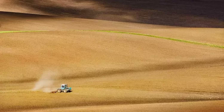 Ukraine: le contrôle des terres agricoles, enjeu caché de la guerre